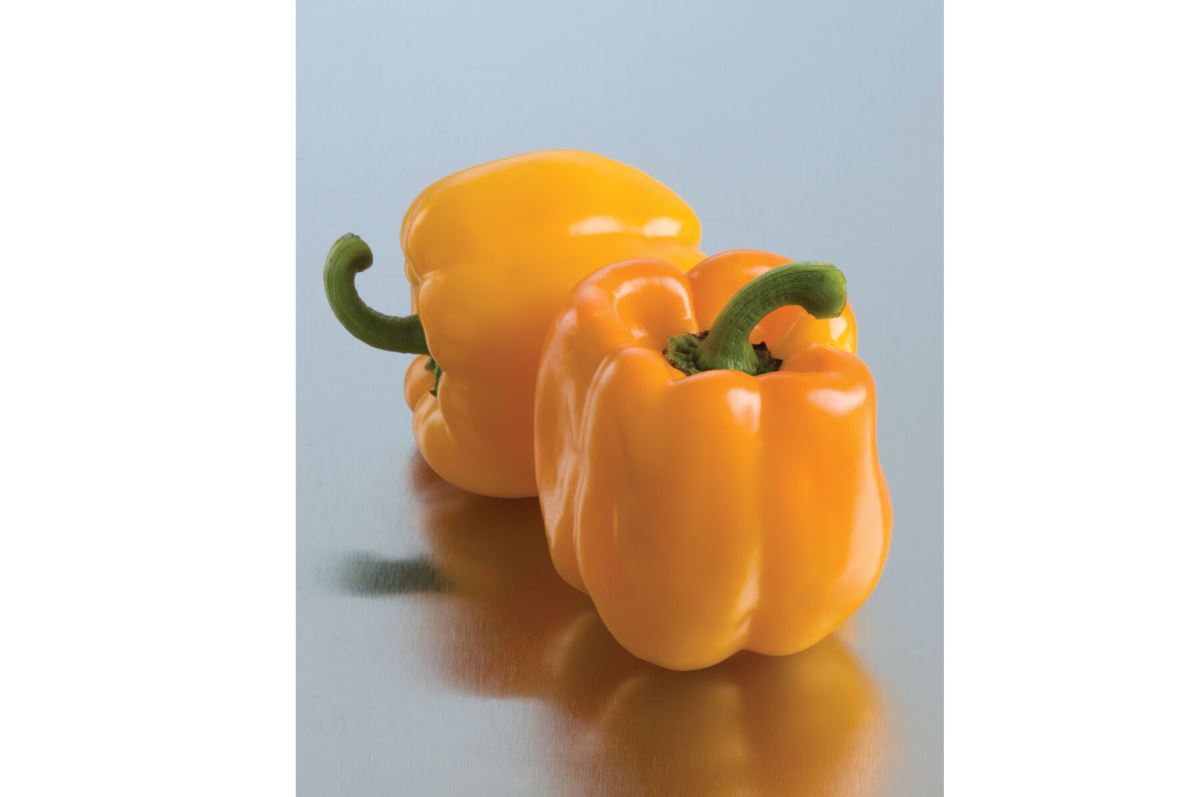 Sweet Sunrise – Organic Bell Pepper Seeds